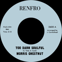 Morris Chestnut - Too Darn Soulful b/w You Don't Love Me Anymore
