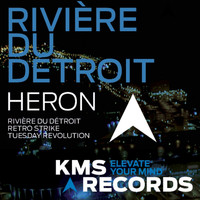 Heron - Rivière Du Détroit