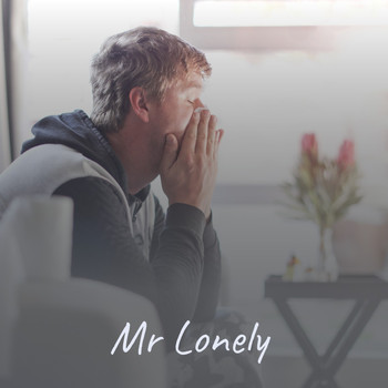 Various Artists - Mr Lonely