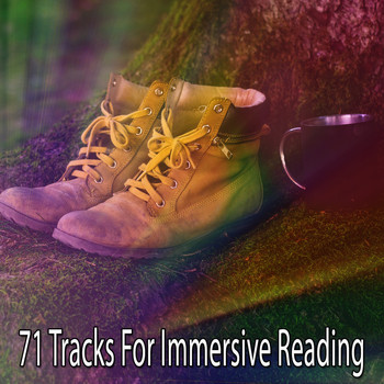 Zen Meditation and Natural White Noise and New Age Deep Massage - 71 Tracks for Immersive Reading