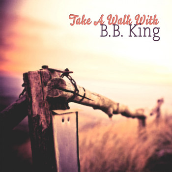 B.B. King - Take A Walk With