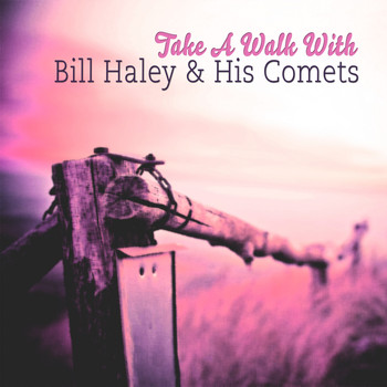 Bill Haley & His Comets - Take A Walk With