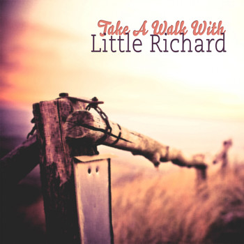 Little Richard - Take A Walk With