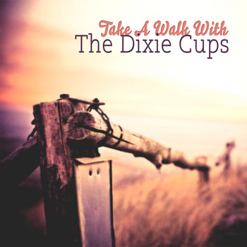 The Dixie Cups - Take A Walk With