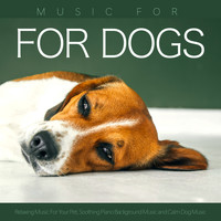 Dog Music, Music For Dog's Ears, Sleeping Music For Dogs - Music for Dogs: Relaxing Music For Your Pet, Soothing Piano Background Music and Calm Dog Music