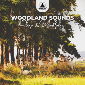 Mindfulness Meditation Music Spa Maestro - Woodland Sounds: Sleep & Mindfulness