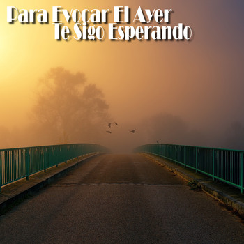 Various Artists - Para Evocar el Ayer / Te Sigo Esperando