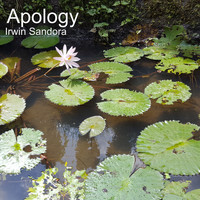Irwin Sandora - Apology