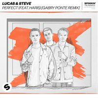 Lucas & Steve - Perfect (feat. Haris) (Gabry Ponte Remix)