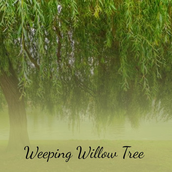 Various Artists - Weeping Willow Tree