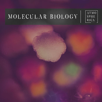 Various Artist - Molecular Biology