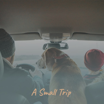 Various Artists - A Small Trip