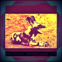 Rushmore - Do You See What I See