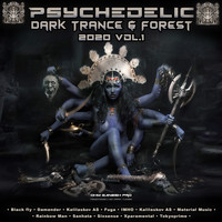 Ohm Ganesh Pro - Psychedelic Dark Trance & Forest 2020 Top 10 Hits Ohm Ganesh Pro, Vol. 1
