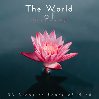Mindfulness Meditation Music Spa Maestro - The World of Meditation & Yoga: 30 Steps to Peace of Mind
