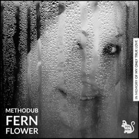Methodub - Fern Flower