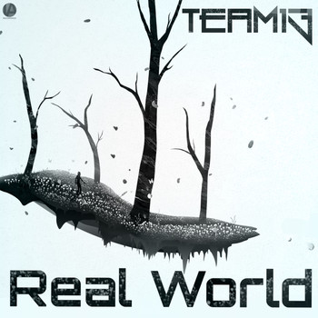 Team 13 - Real World