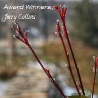 Jerry Collins - Award Winners