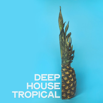 Various Artists - Deep House Tropical (Ibiza Beach Party Music 2020)