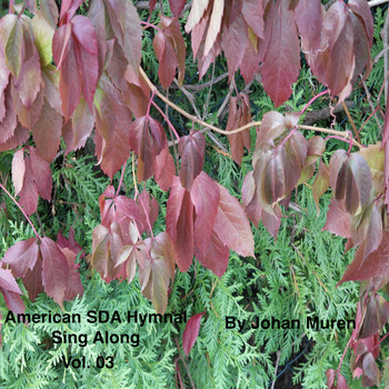 Johan Muren - American Sda Hymnal Sing Along Vol. 03