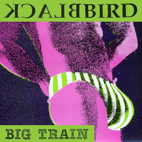 Blackbird - Big Train