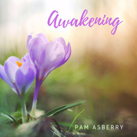 Pam Asberry - Awakening