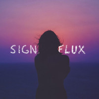Signal Flux - Like This
