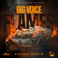 Big Voice - Flames (Explicit)