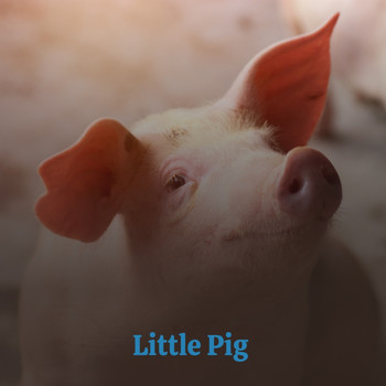 Various Artists - Little Pig