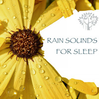 Natural Spirit & Thunderstorms - Rain Sounds for Sleep