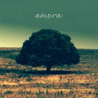 Andre Fernandes - Amora