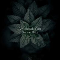 Shofwan Hady - Without You (Summer Mix)