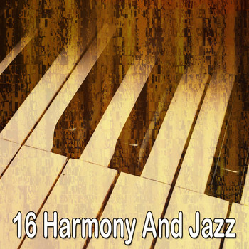 Lounge Café - 16 Harmony and Jazz