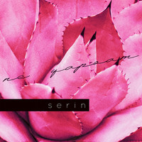 Serin - Ne Yapsam
