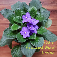 Sloane - God's Greatest Work