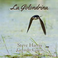 Steve Harris - La Golondrina (feat. Gerardo Calera)
