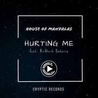 House of Mandalas - Hurting Me (feat. Avdhesh Babaria)