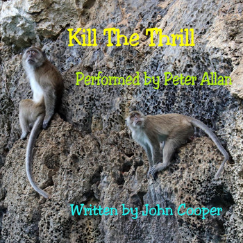 Peter Allan - Kill the Thrill
