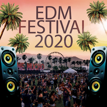 Various Artists - EDM Festival 2020