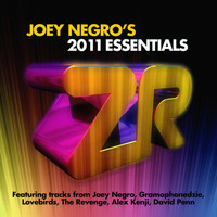 Joey Negro, Dave Lee - Joey Negro's 2011 Essentials