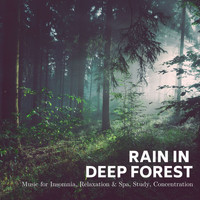 Rachel Mind - Rain In Deep Forest: Music For Insomnia, Relaxation & Spa, Study, Concentration