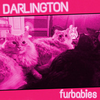Darlington - Furbabies (Explicit)