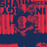 Shaun Mecca - Innergy (Explicit)