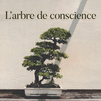 Meditation Music Zone - L’arbre de conscience