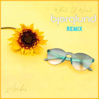 Bjerglund / - What U Want (Bjerglund Remix)