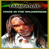 TAMPANAE / - Voice in the Wilderness