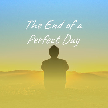 Various Artists - The End of a Perfect Day