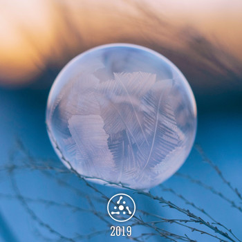 Various Artists - 2019