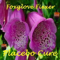 Placebo Cure - Foxglove Fixxer