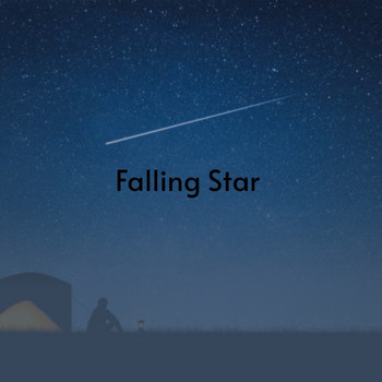Various Artists - Falling Star